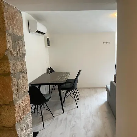 Rea Zadar